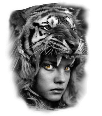 Наклейка "Девушка - тигр" 48*25 см (1шт) нт 0006 Автотовары 528384 фото