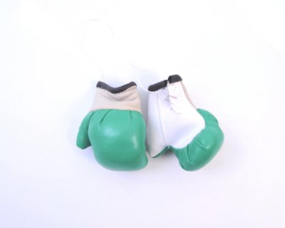 BOX перчатки на зеркало заднего вида, малые зеленые "Adidas" / "Nike" "Автотовары" 61386122 фото