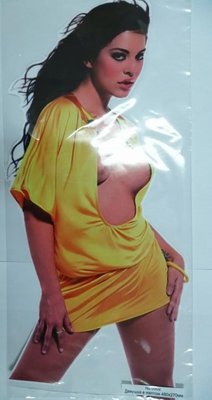 Наклейка "Девушка в желтом" 48*27 см (1шт) нд-0002 Автотовары 487510 фото